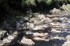 Findhorn July 2021 0221